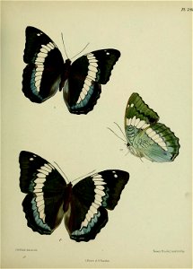 n378_w1150