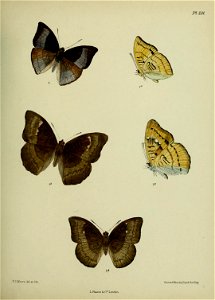 n348_w1150