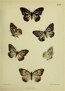 n288_w1150