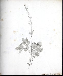 n8_w1150