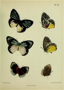 n384_w1150