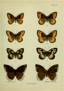 n292_w1150