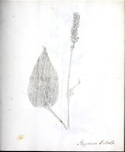 n34_w1150