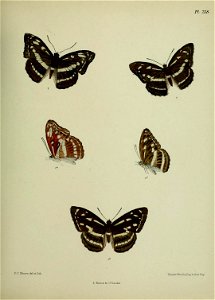 n402_w1150