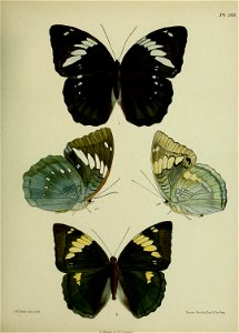 n372_w1150