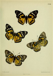 n282_w1150