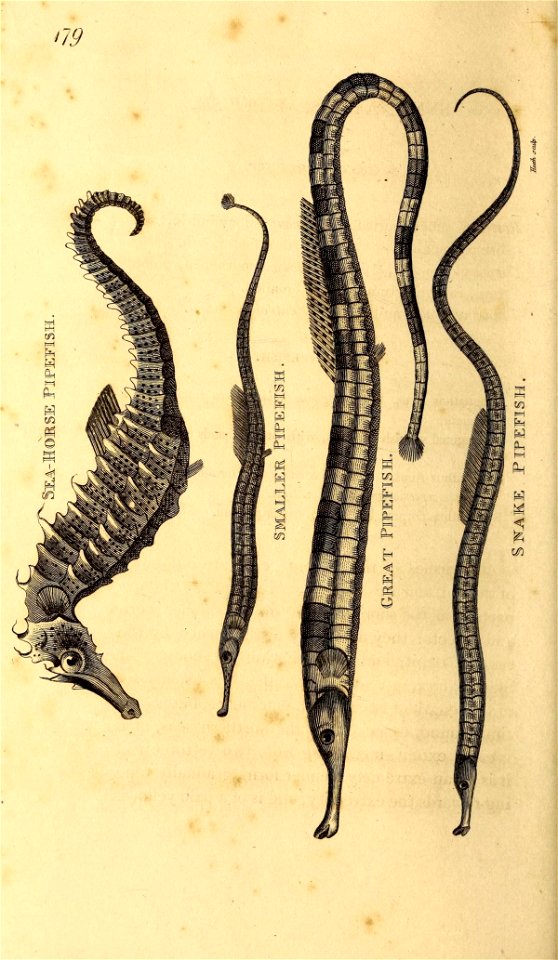 n659_w1150