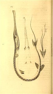 n143_w1150