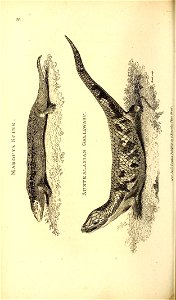 n461_w1150