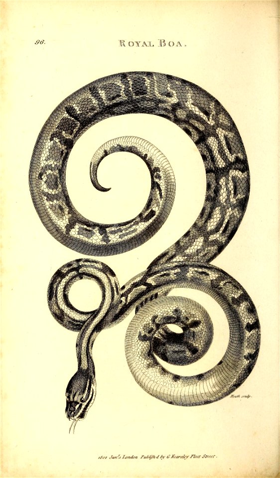 n561_w1150