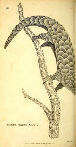 n317_w1150