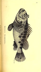 n376_w1150