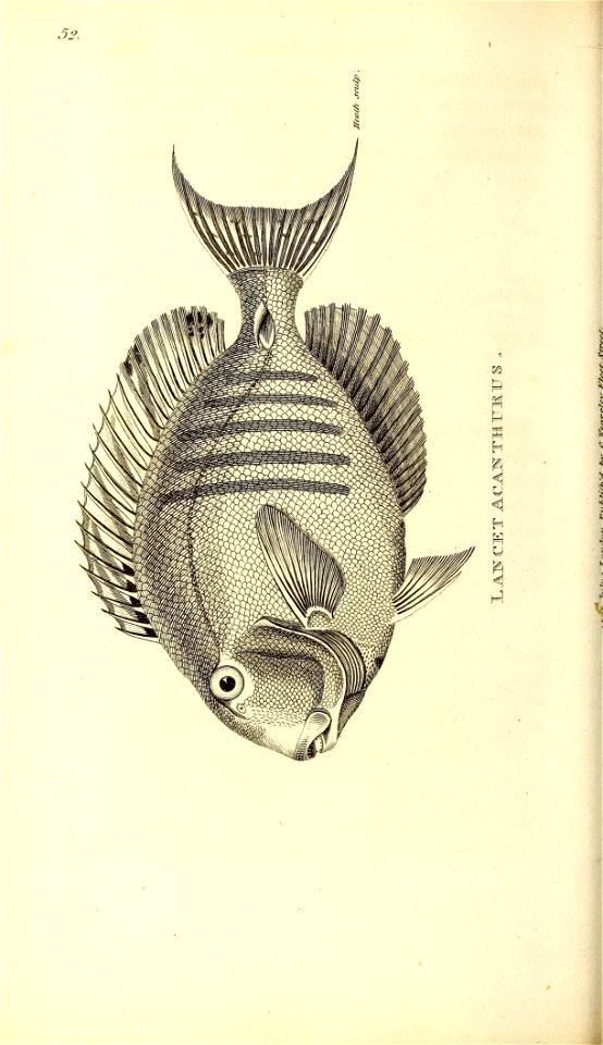 n517_w1150