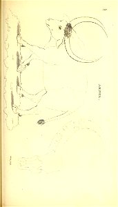 n602_w1150