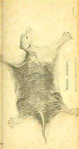n216_w1150