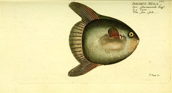 n46_w1150