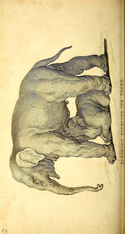 n371_w1150