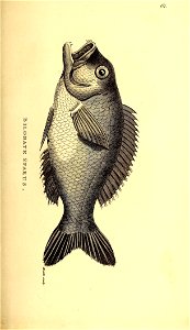 n590_w1150