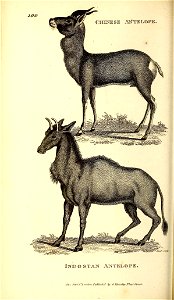 n489_w1150