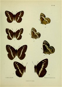 n294_w1150