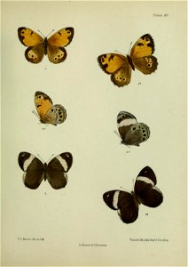 n290_w1150