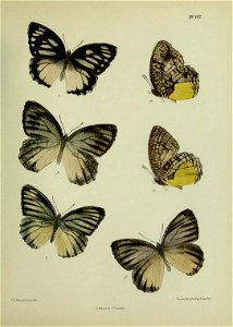 n382_w1150