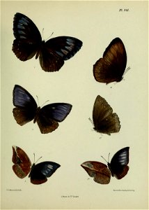 n380_w1150