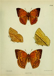 n408_w1150