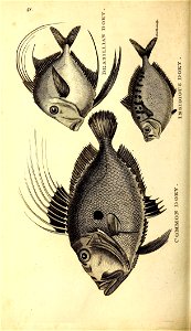 n395_w1150