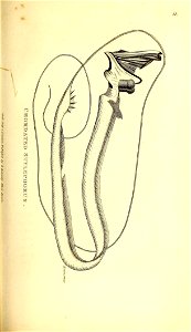 n122_w1150