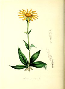 n173_w1150