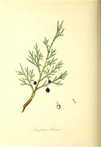 n153_w1150