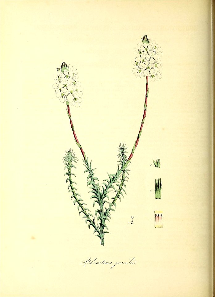 n229_w1150
