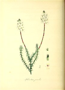 n229_w1150