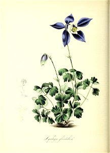 n109_w1150