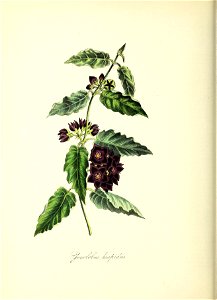 n105_w1150