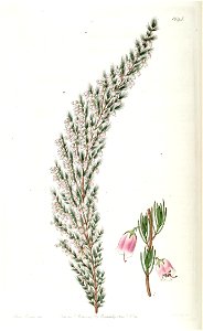 n127_w1150