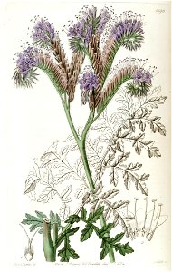 n121_w1150