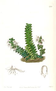 n122_w1150