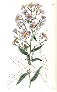 n158_w1150