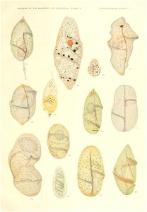 n578_w1150