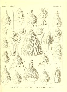 n258_w1150