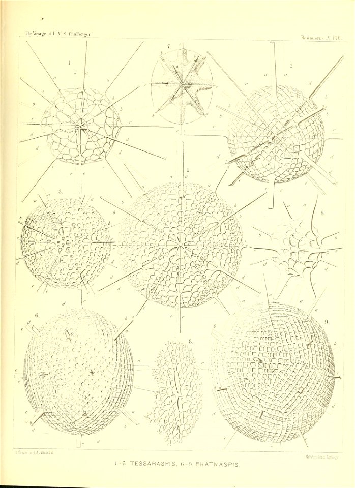 n554_w1150