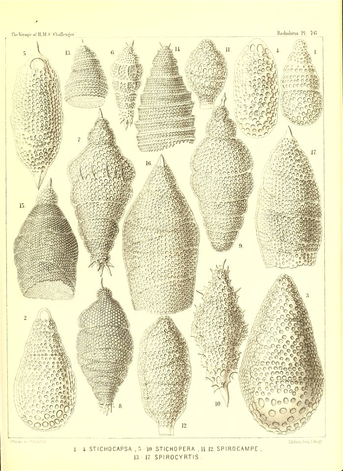 n314_w1150