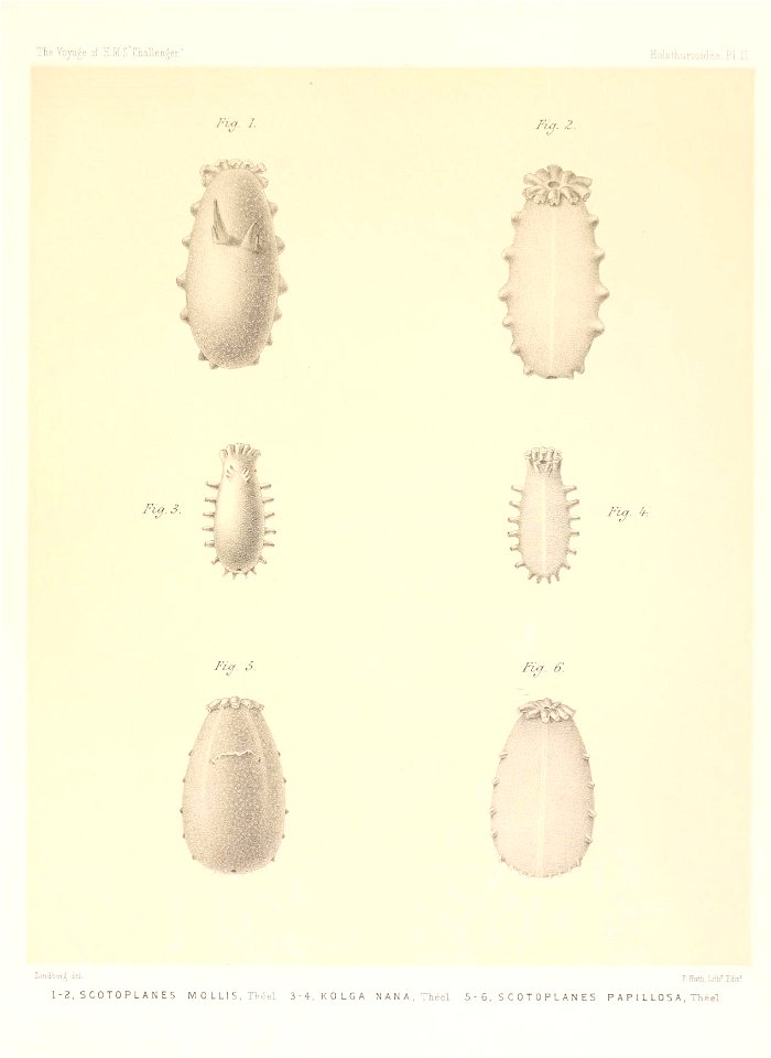 n682_w1150