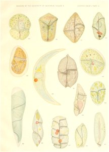 n566_w1150