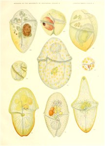n562_w1150