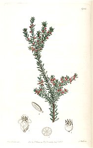 n128_w1150