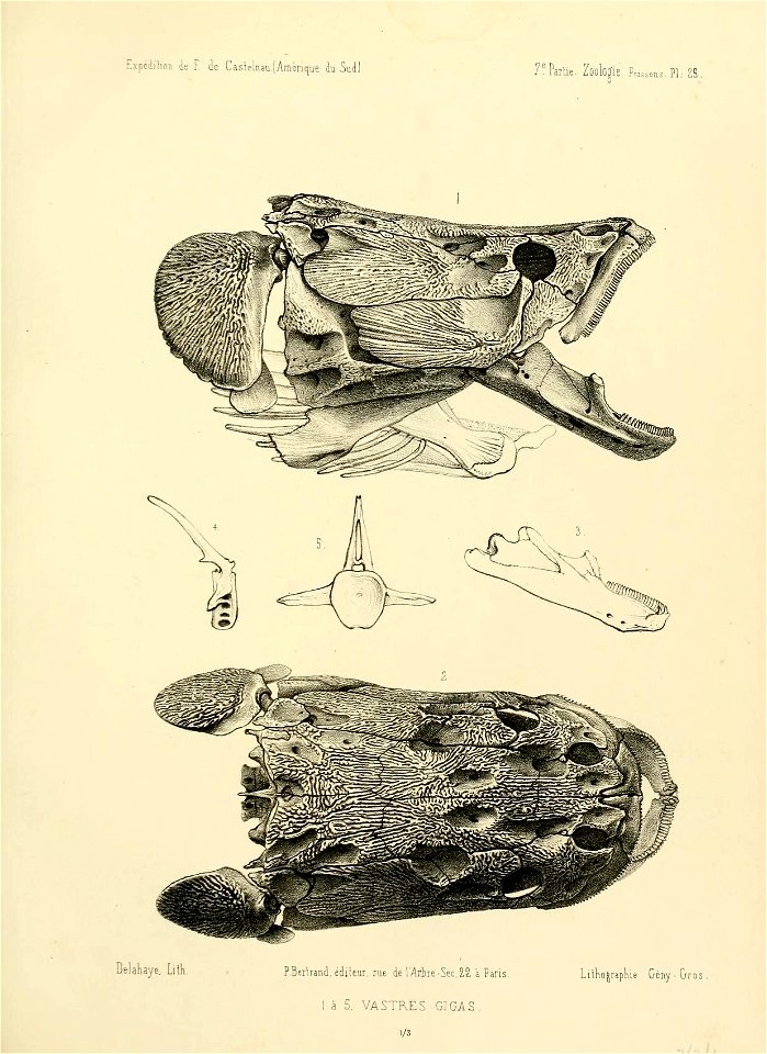 n194_w1150