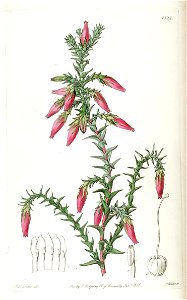 n231_w1150